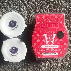SCENTSY • Summer Scents Wax Bar Bundle
